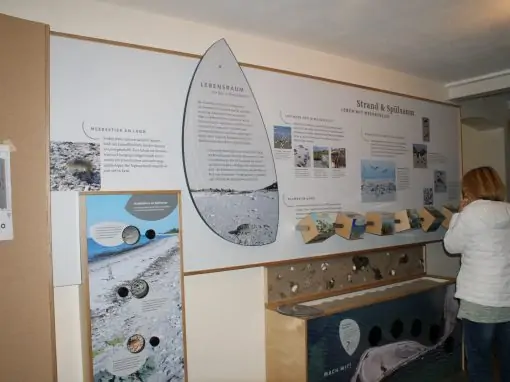 Neue Ausstellung in der Integrierten Station Geltinger Birk