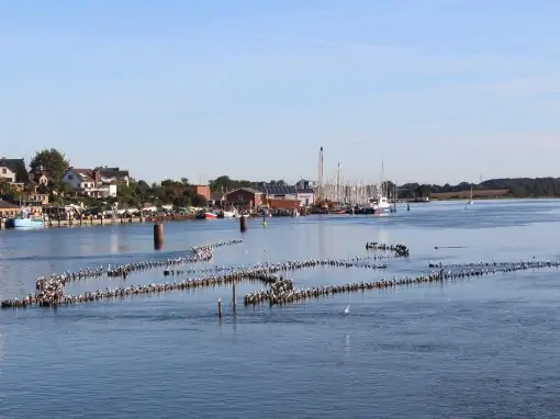 Erneuerung des Heringszaunes Kappeln