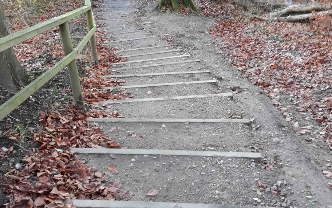 Leichten Schrittes Wandern auf dem Rundwanderweg Loiter Au – Füsinger Au