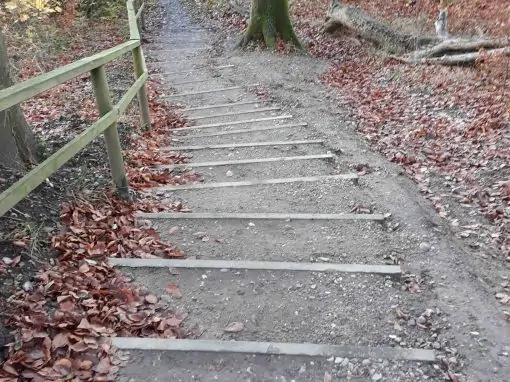 Leichten Schrittes Wandern auf dem Rundwanderweg Loiter Au – Füsinger Au