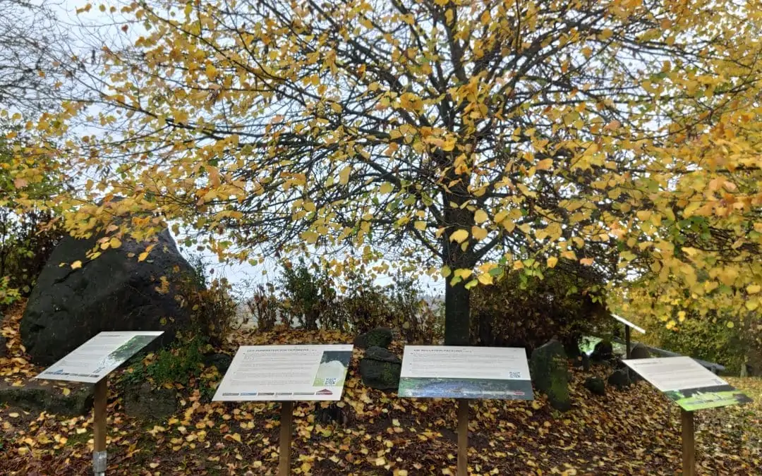 Erstellung einer kulturhistorischen Darstellung mit infrastrukturellen Maßnahmen auf dem Thingplatz Gulde