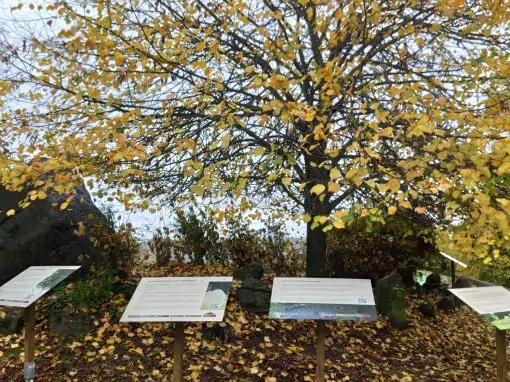 Erstellung einer kulturhistorischen Darstellung mit infrastrukturellen Maßnahmen auf dem Thingplatz Gulde