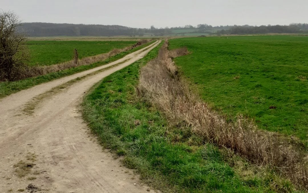 Neuer Wanderweg am Langsee in Süderfahrenstedt – Entschleunigung und Orientierung durch regional einheitliche Beschilderung