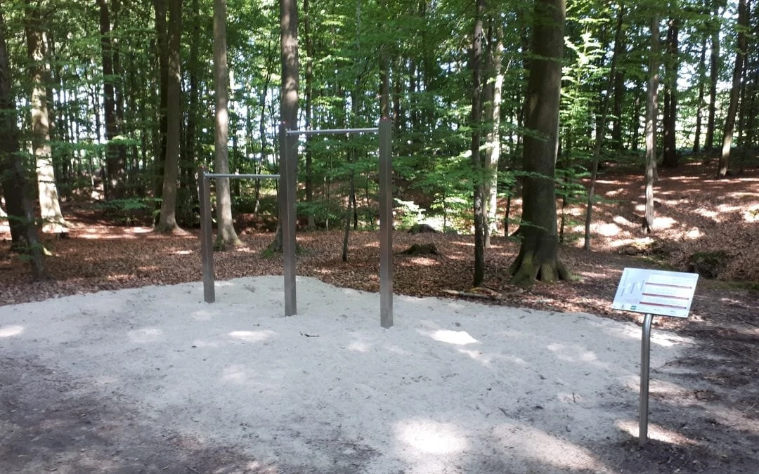 Einrichtung eines Naturlehrpfades / Trimm-Dich-Pfades im Wassermühlenholz