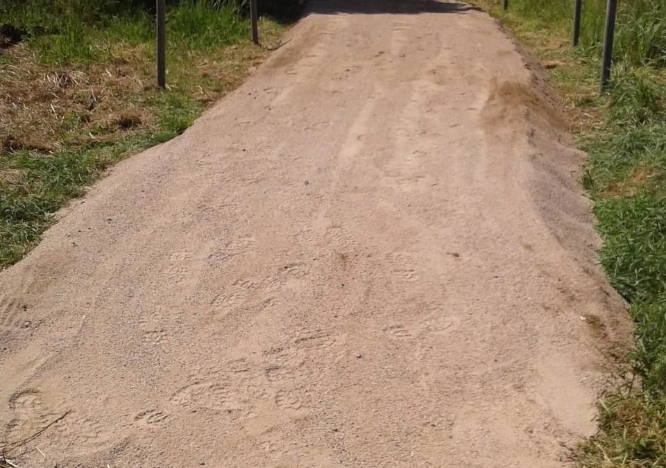 Errichtung eines Wanderweges – Zugang zum alten Ziegeleigelände Borgwedel