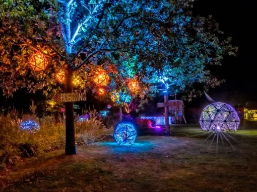 nordic-lights: Umsetzung eines Beleuchtungskonzeptes für das NORDEN Festival und Nacht der Schleilichter auf den Königswiesen